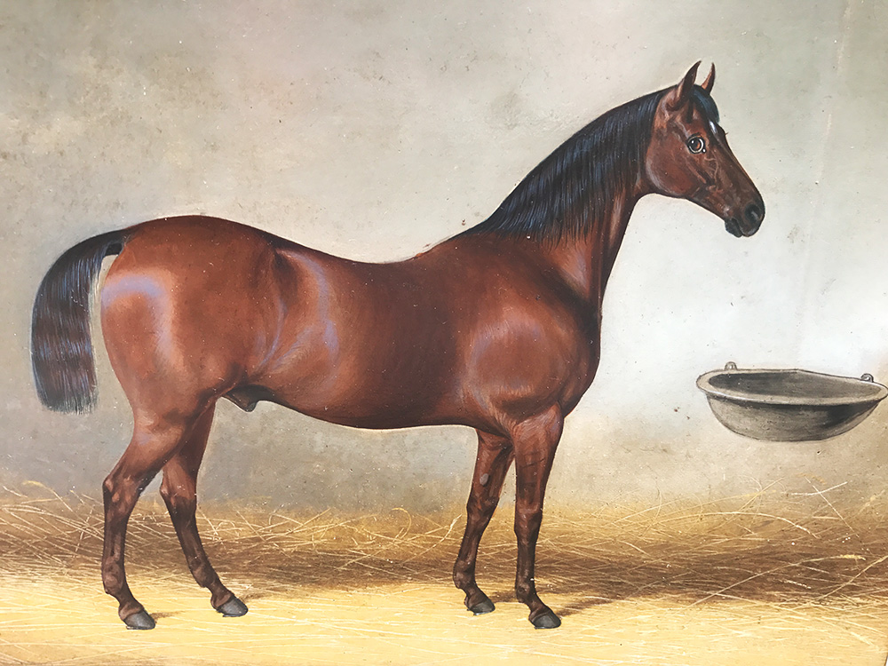 Biedermeier - BRAUNER IM STALL